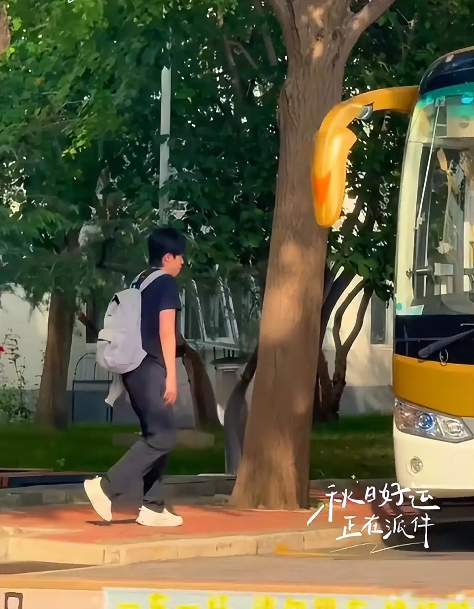 外比较省心, 打三轮, tenan